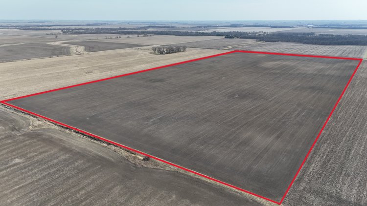 Image for 80.00± Acres Ash Grove Township, Iroquois County, IL