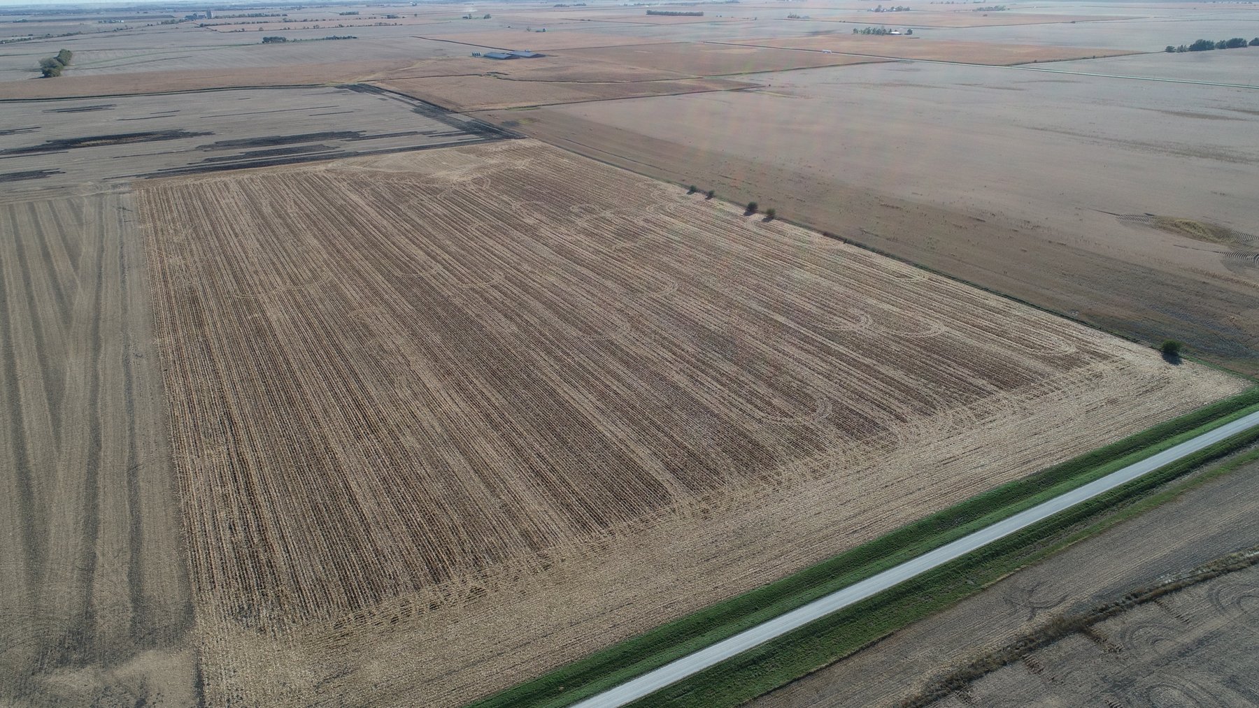 Image for Larry Ideus Estate