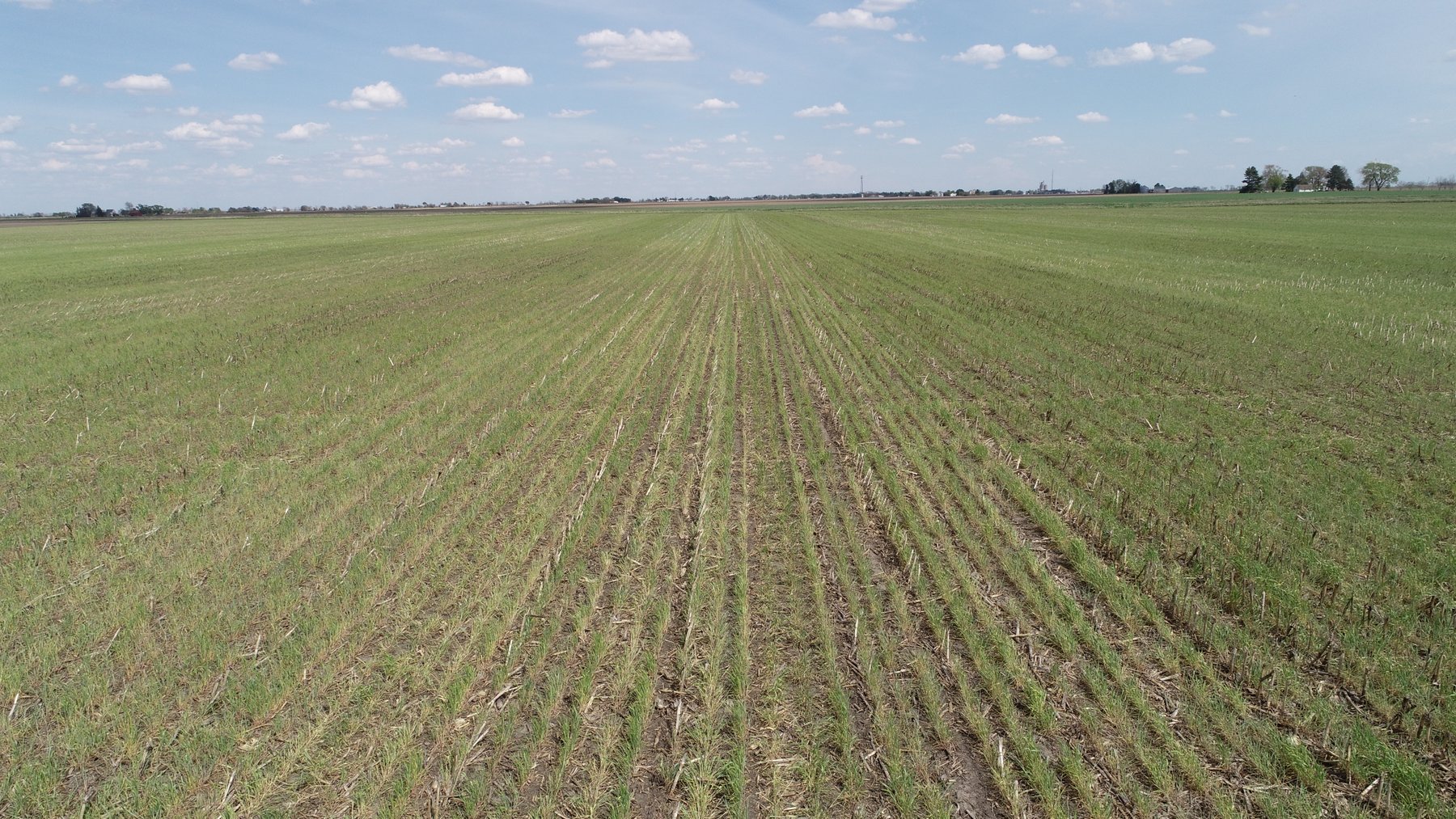 Image for St. Peters Church