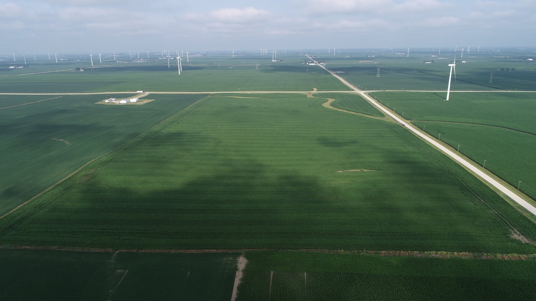 Image for Wyllie Farm Cash Rent Auction