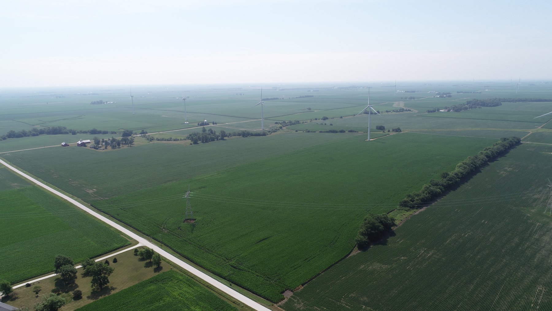 Image for Wyllie Farm Cash Rent Auction