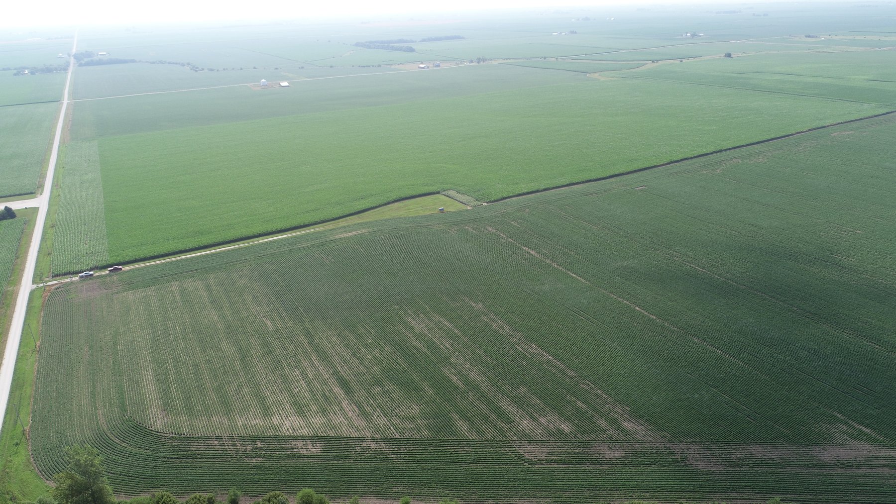 Image for Wyllie Farm Cash Rent Auction