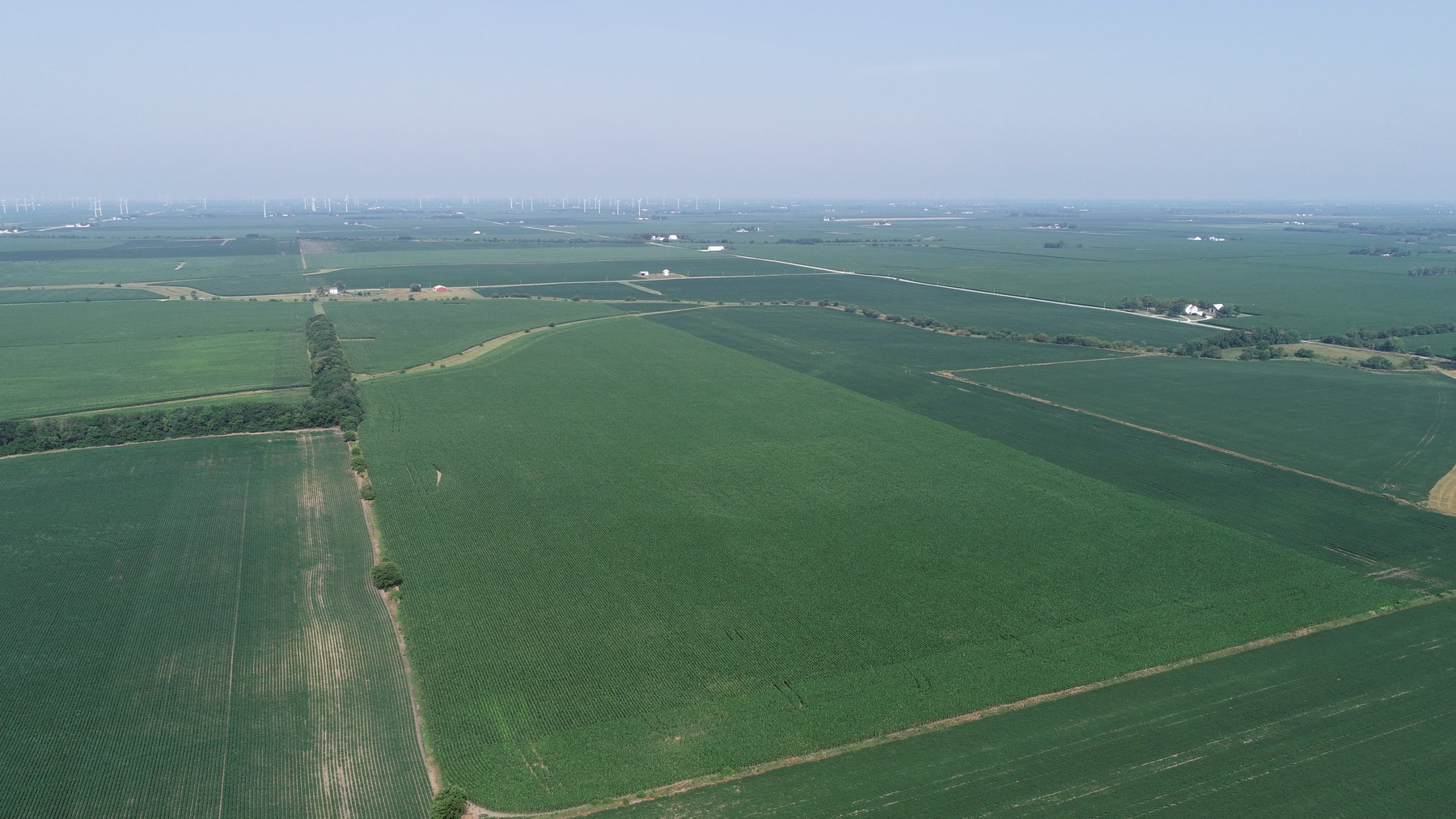 Image for Wyllie Farm Cash Rent Auction