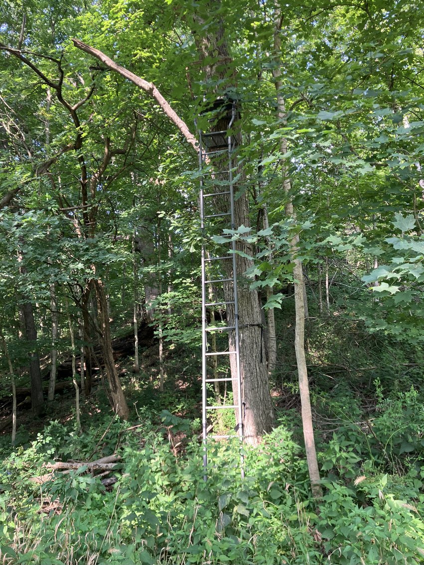 Image for 73± Acres of Premier Hardwood Timber & Trophy Hunting