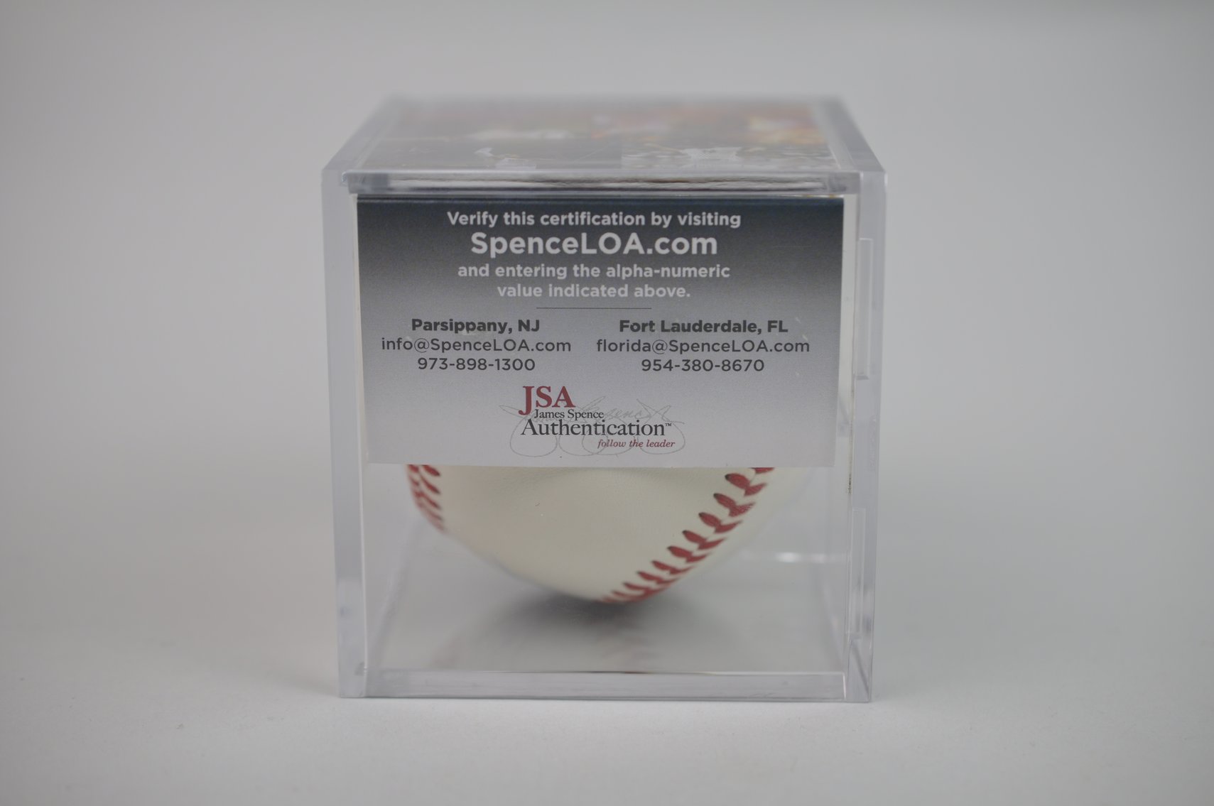 Baseball Signed by Rafael Devers