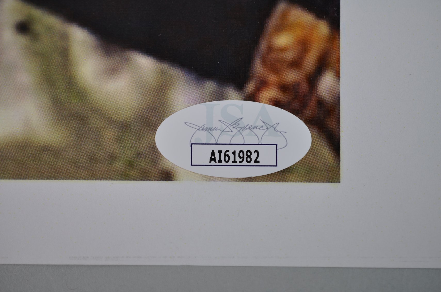 Famous Football Player Photographs w/ Signatures