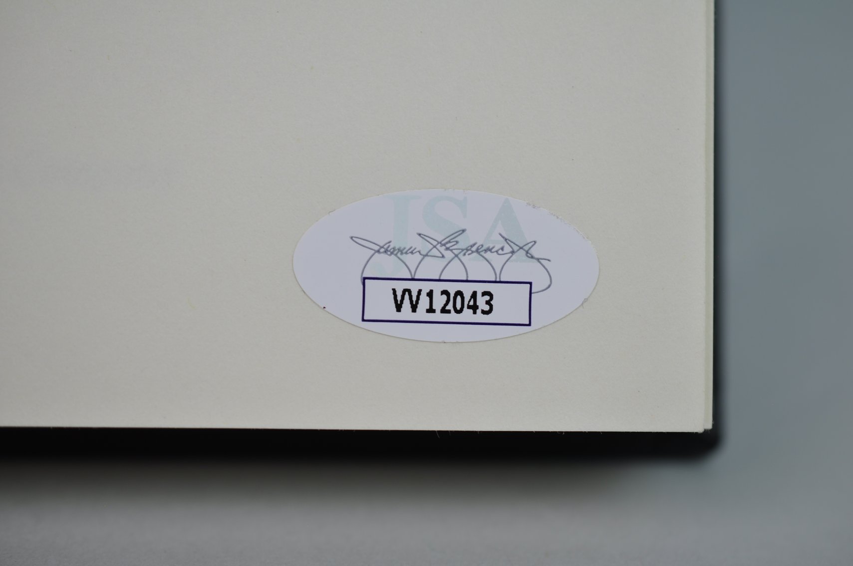 Basketball & Book Signed by Dick Vitale