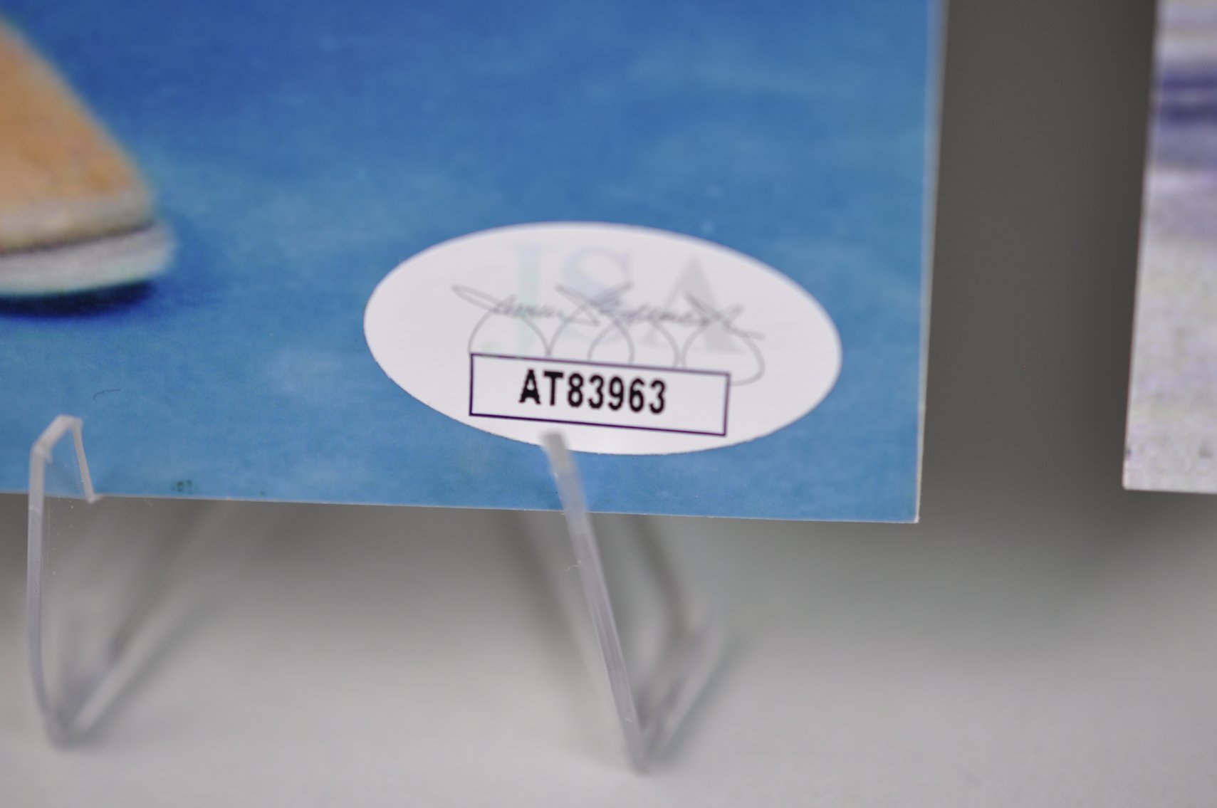 Famous Wrestler Photos with Signatures