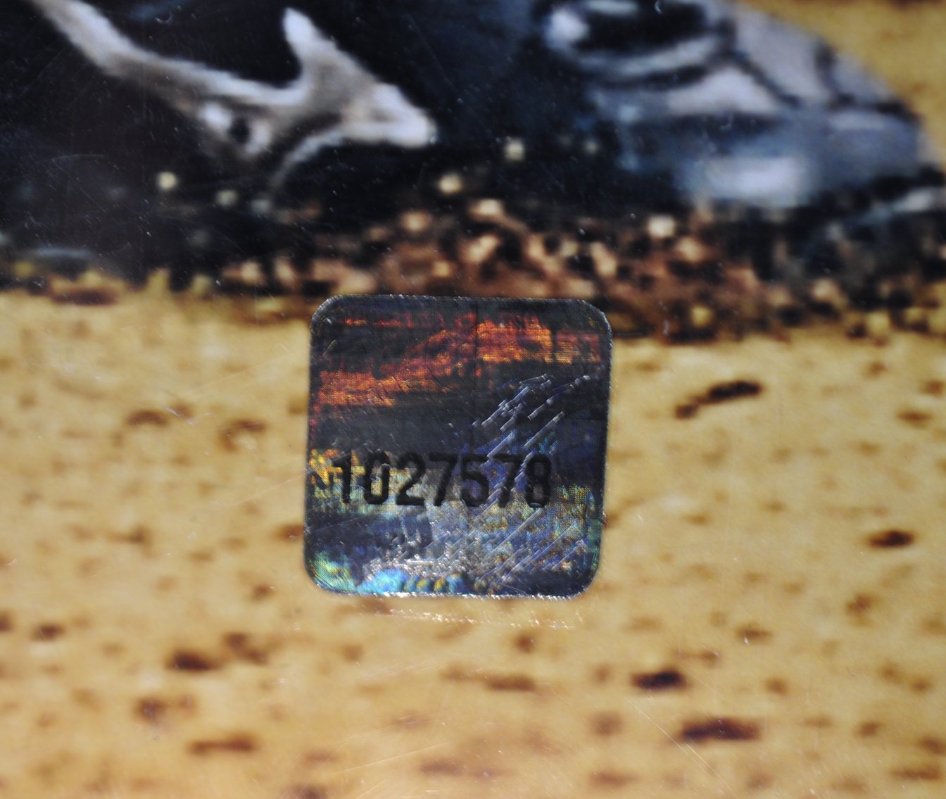 Signed HOF Baseball Photographs