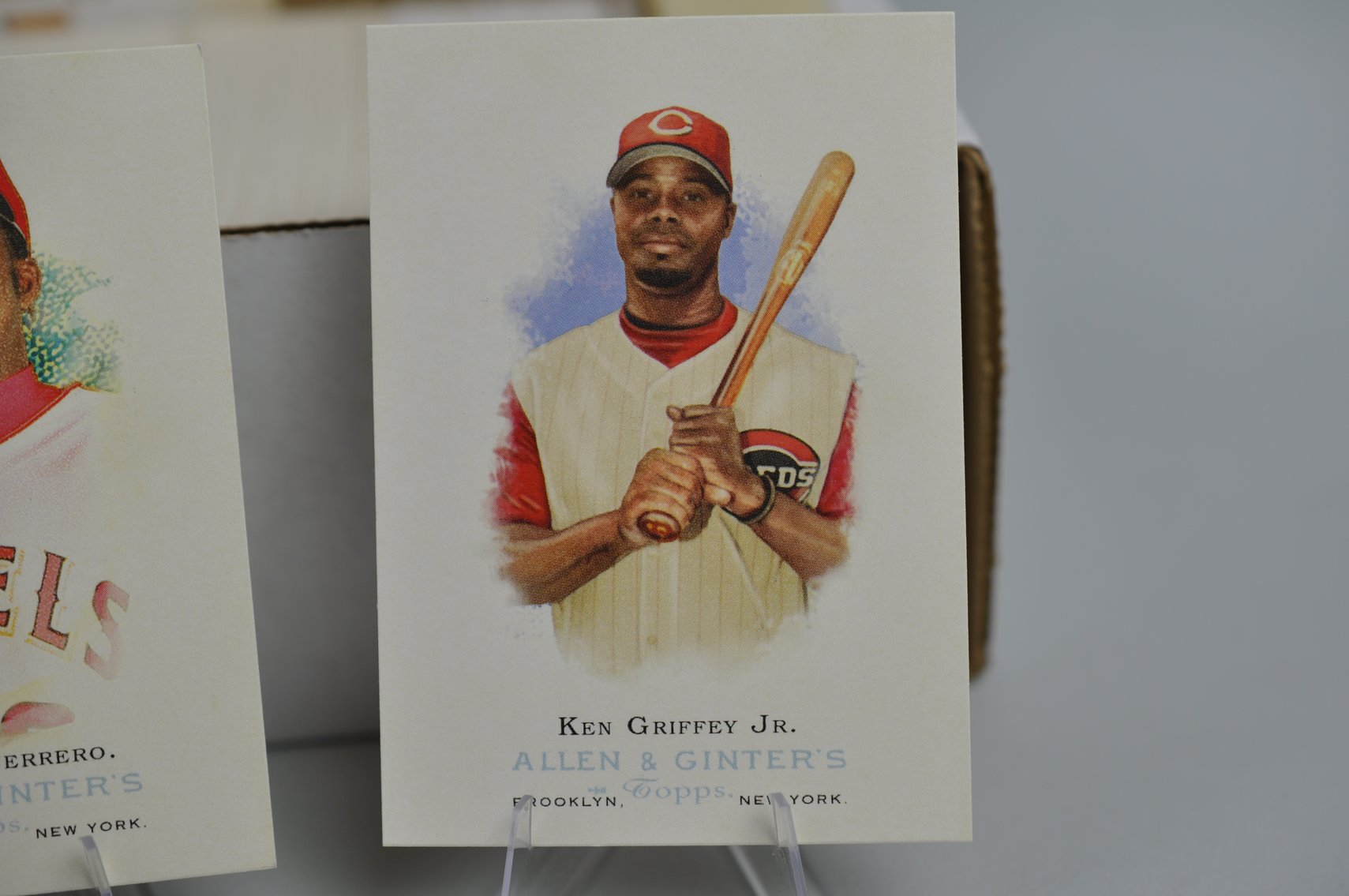 2006 Allen & Ginter Complete Card Set 1-350
