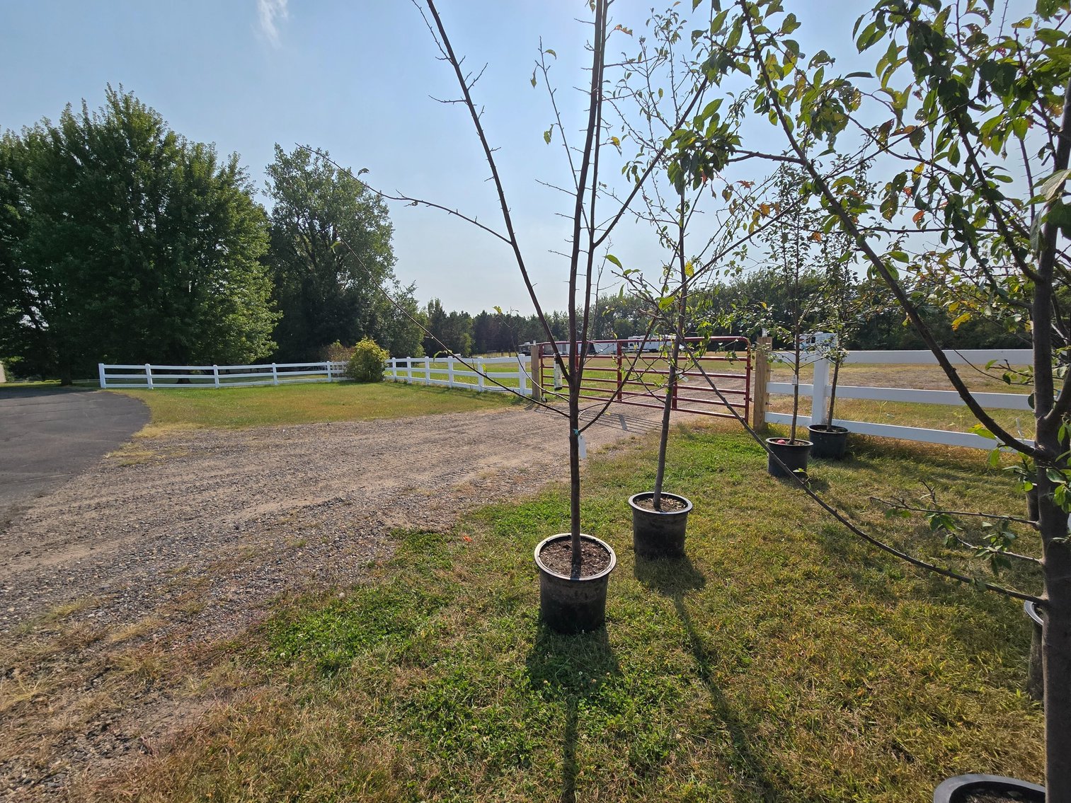 Image for September Consignments Ring 3