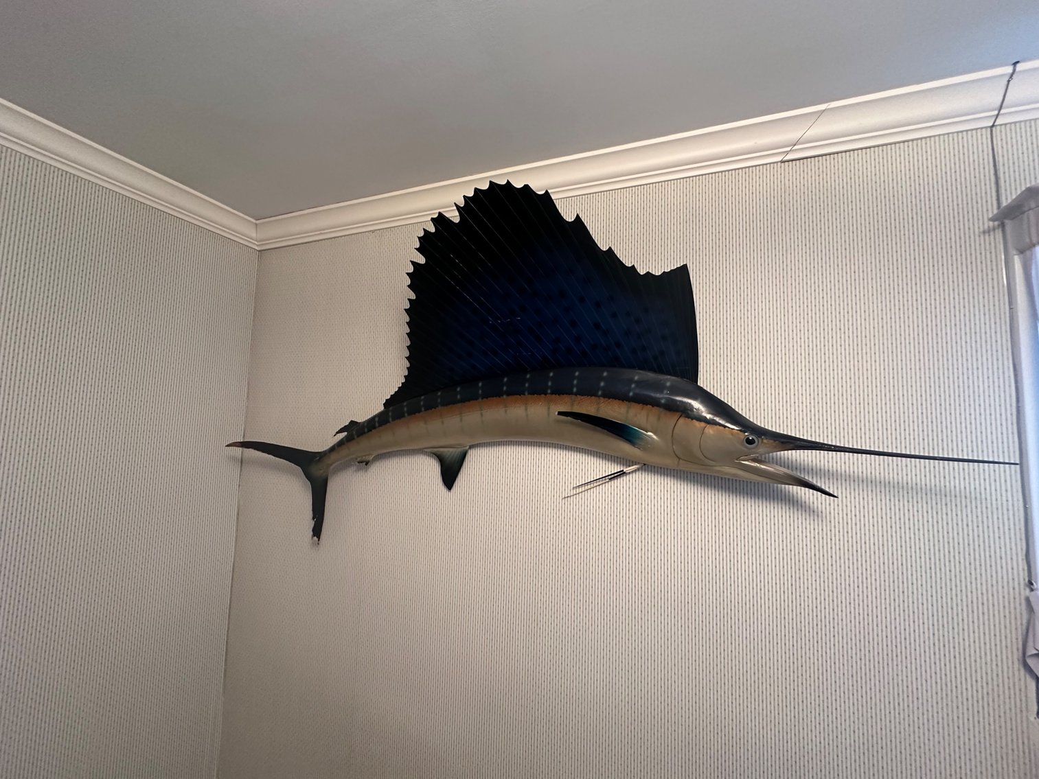 Image for Absolute Public Auction (Updated Photos)