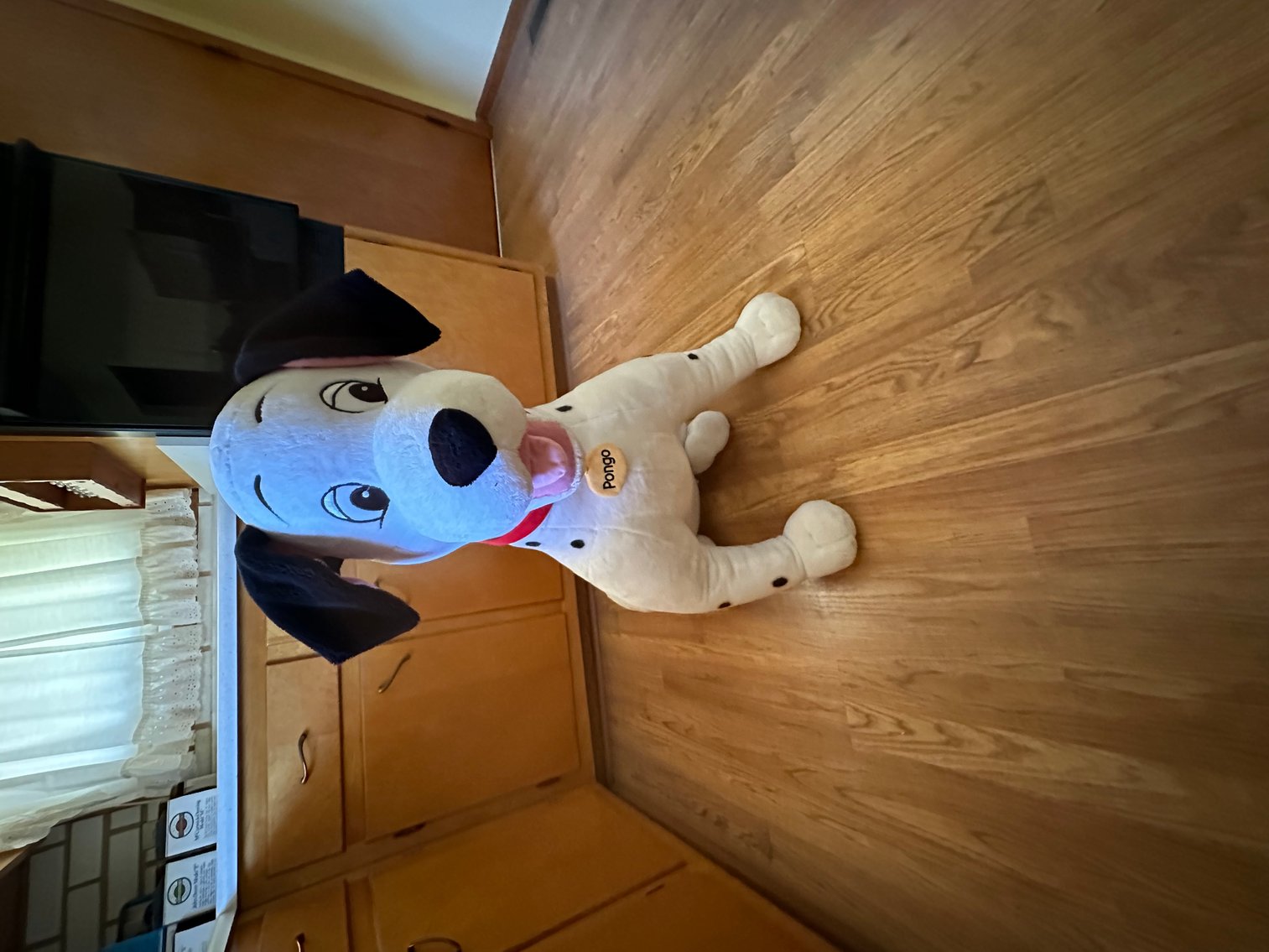 Image for Absolute Public Auction