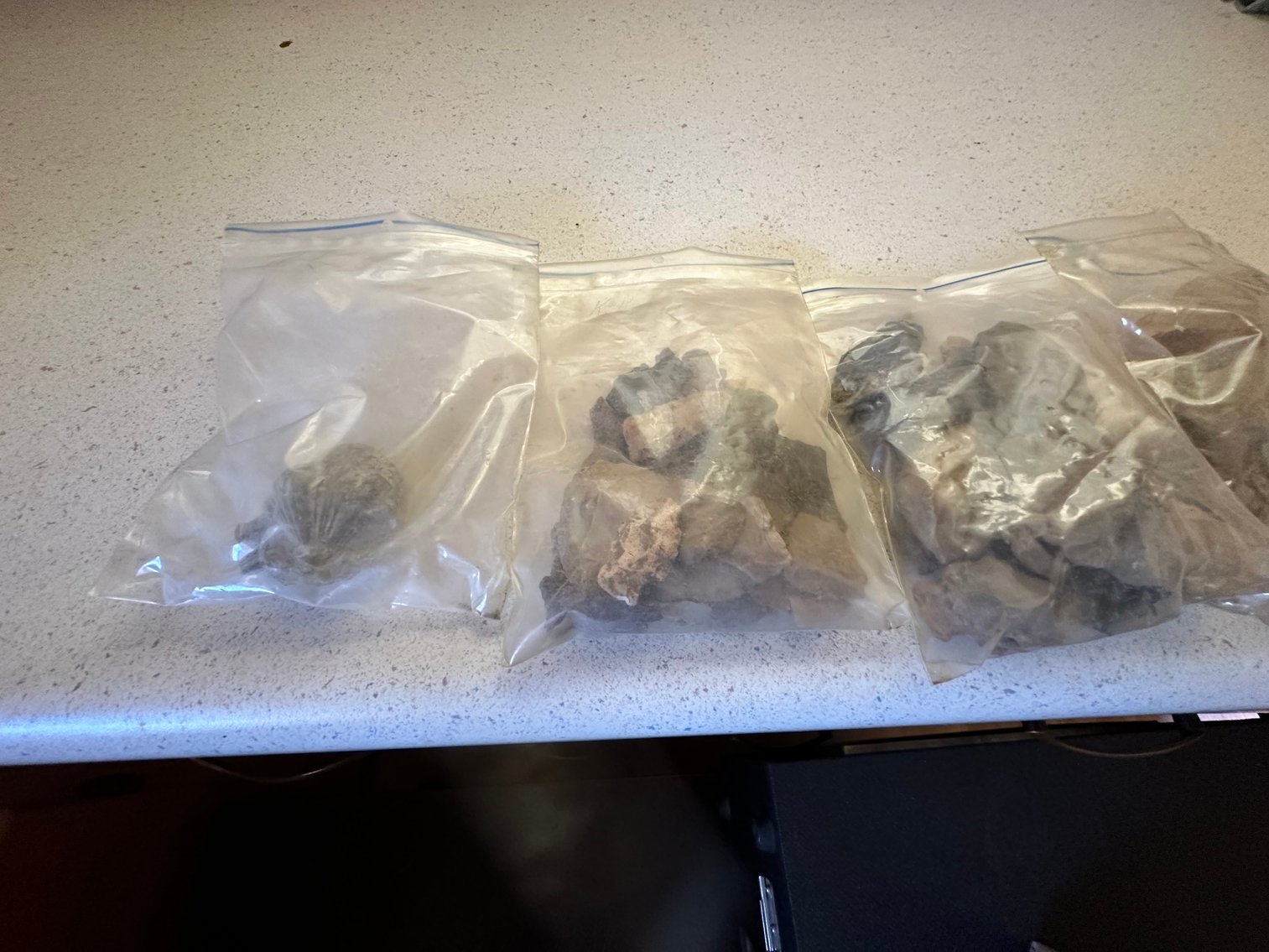 Image for Absolute Public Auction