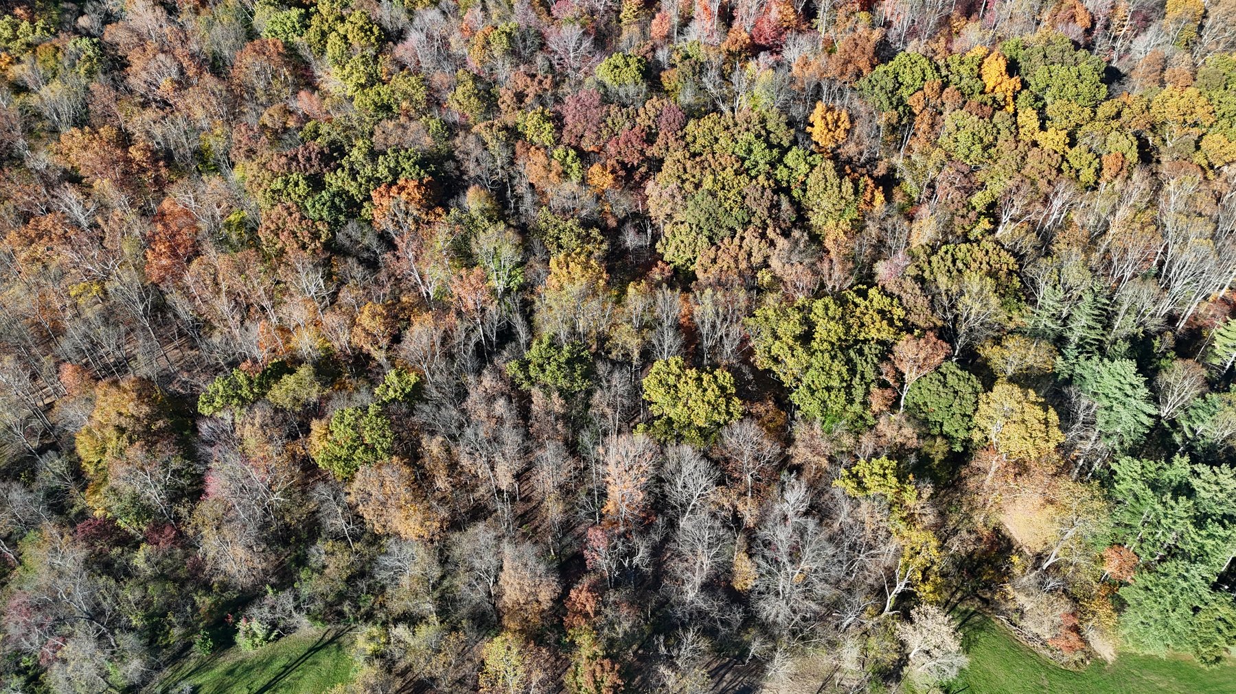 Image for Live Onsite Real Estate Auction with Online Bidding