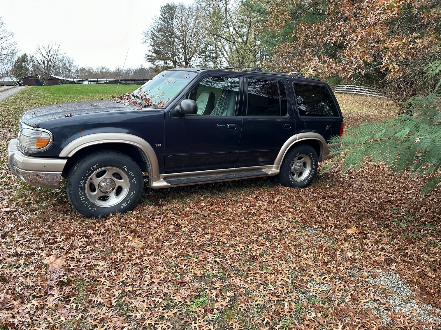 Image for Absolute Public Auction