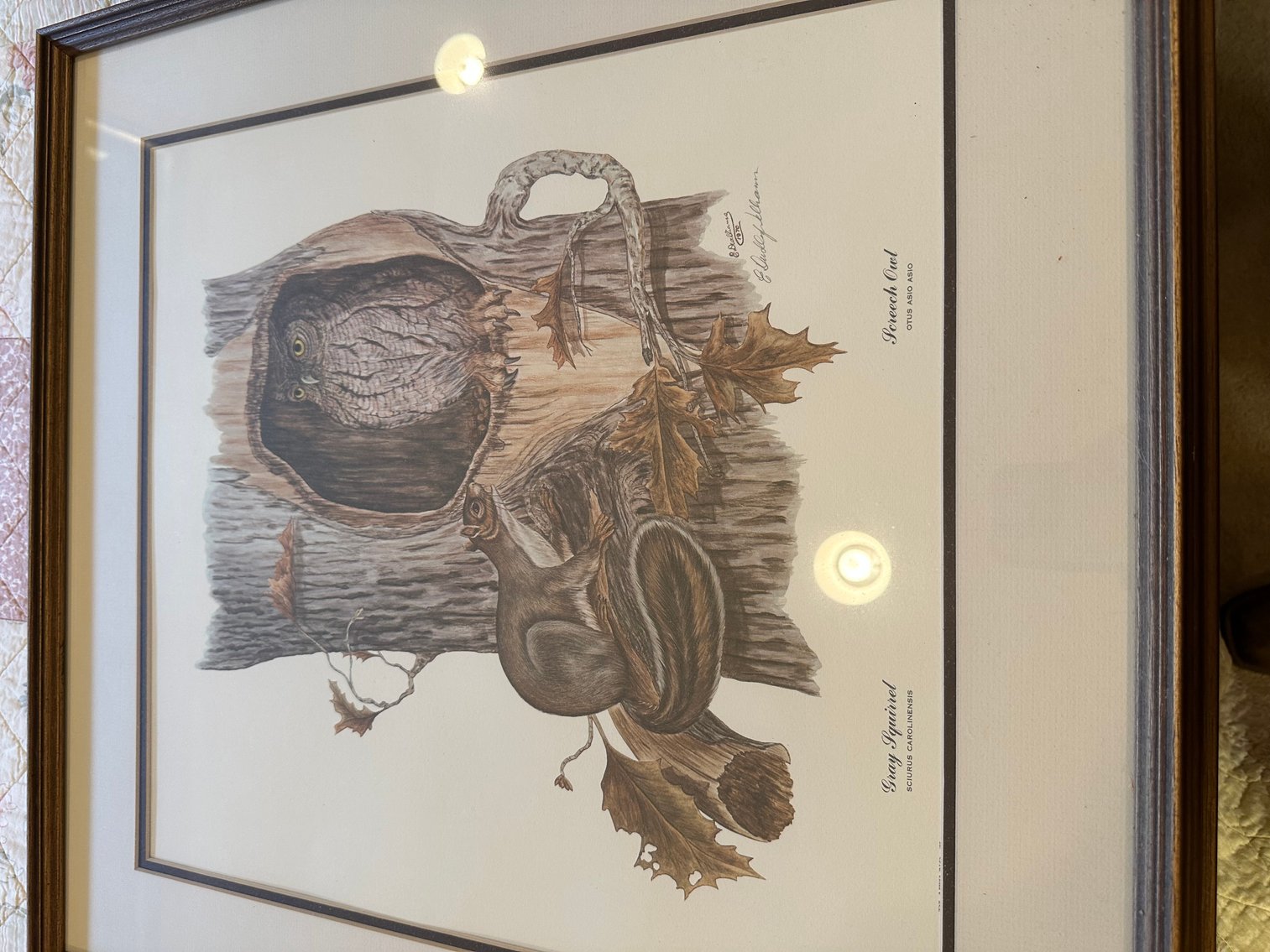 Image for Absolute Public Auction