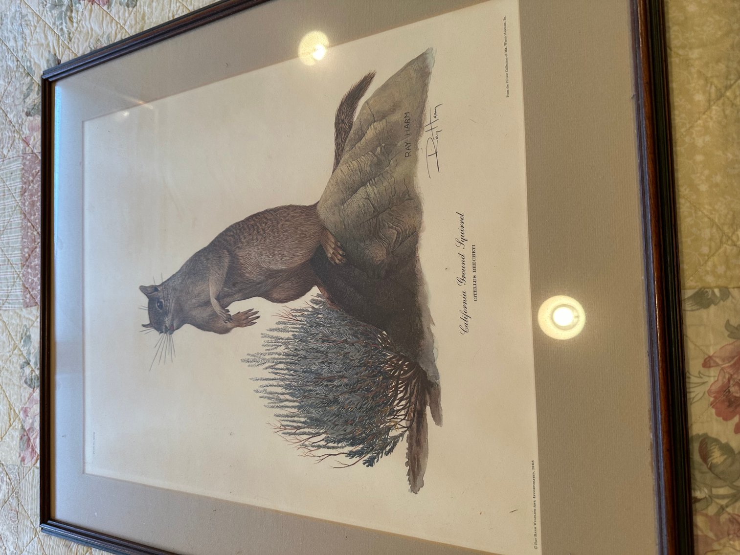 Image for Absolute Public Auction