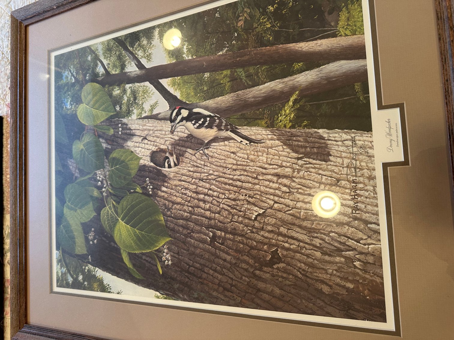 Image for Absolute Public Auction