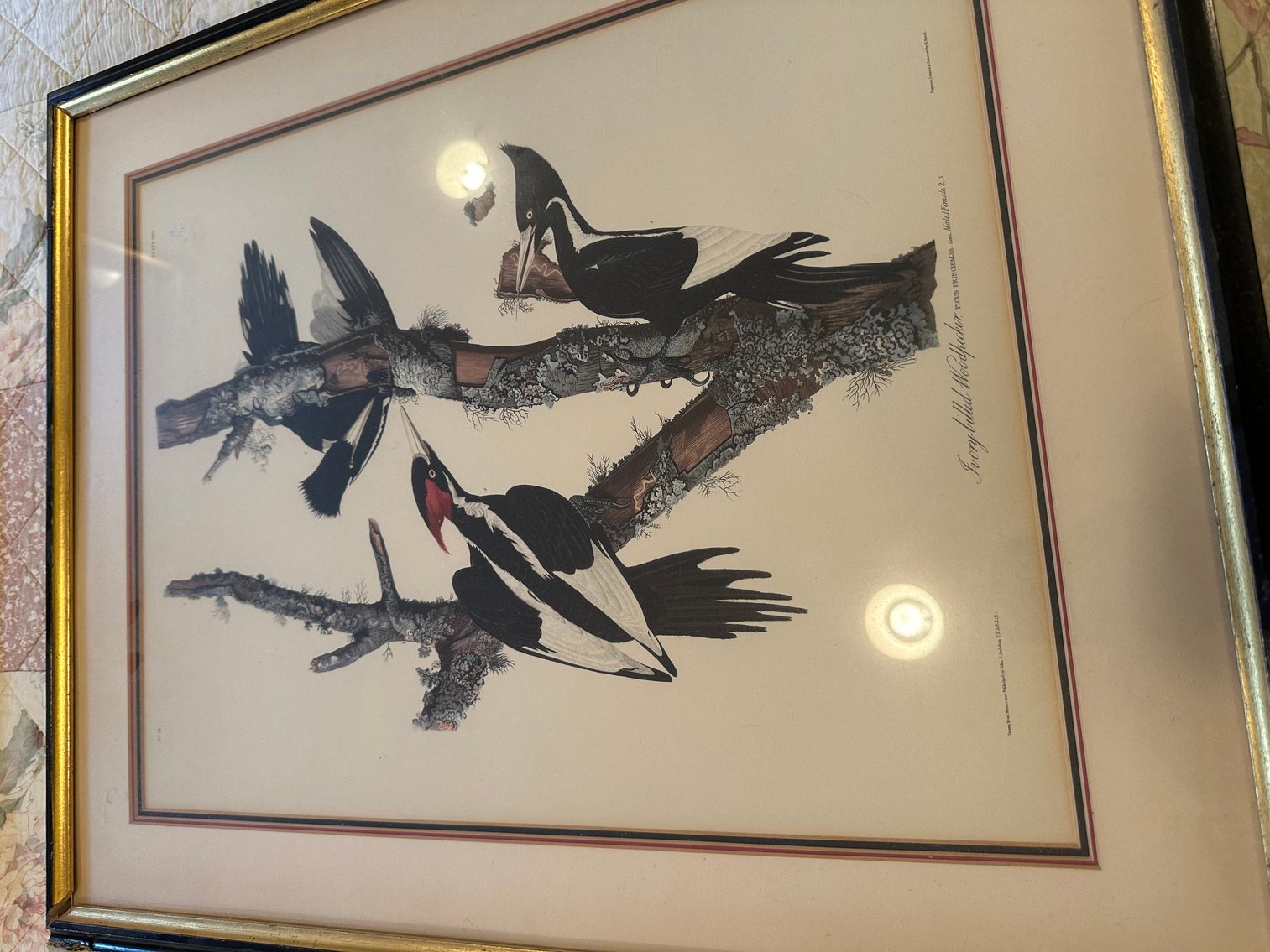 Image for Absolute Public Auction