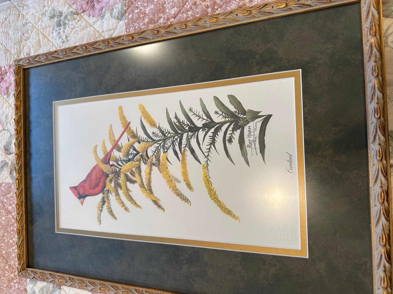 Image for Absolute Public Auction