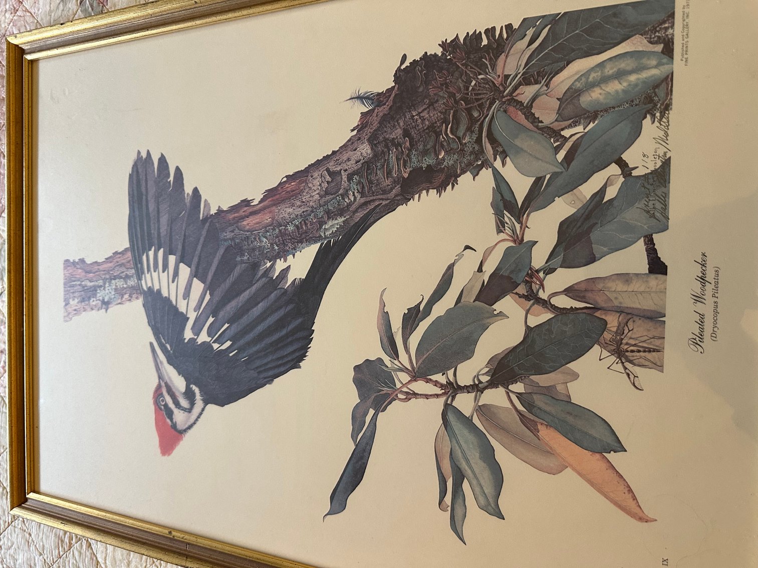 Image for Absolute Public Auction