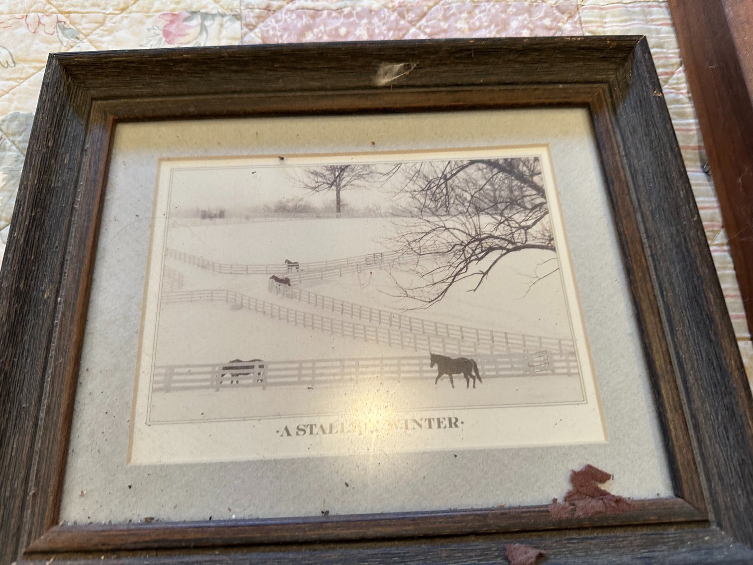 Image for Absolute Public Auction