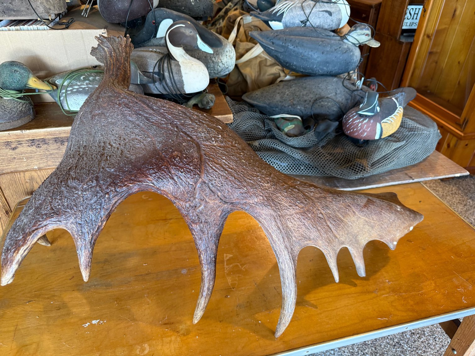 Image for Terry Williams Public Auction