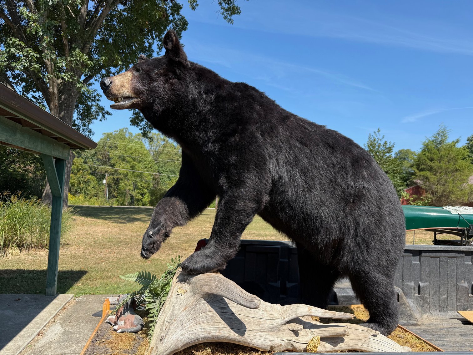 Image for Terry Williams Public Auction