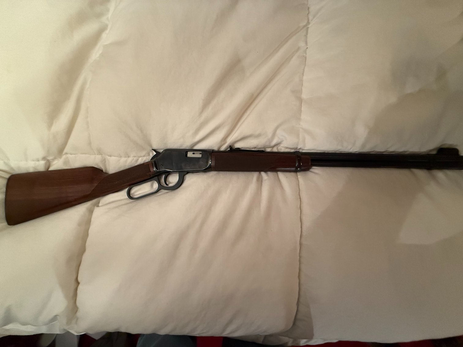 Image for Terry Williams Public Auction