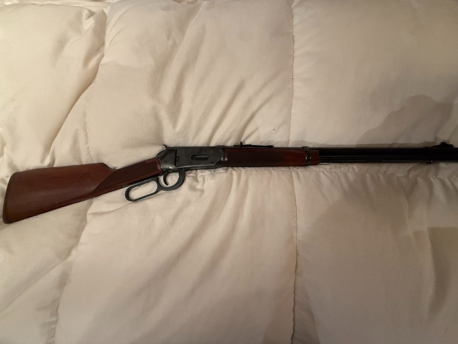 Image for Terry Williams Public Auction