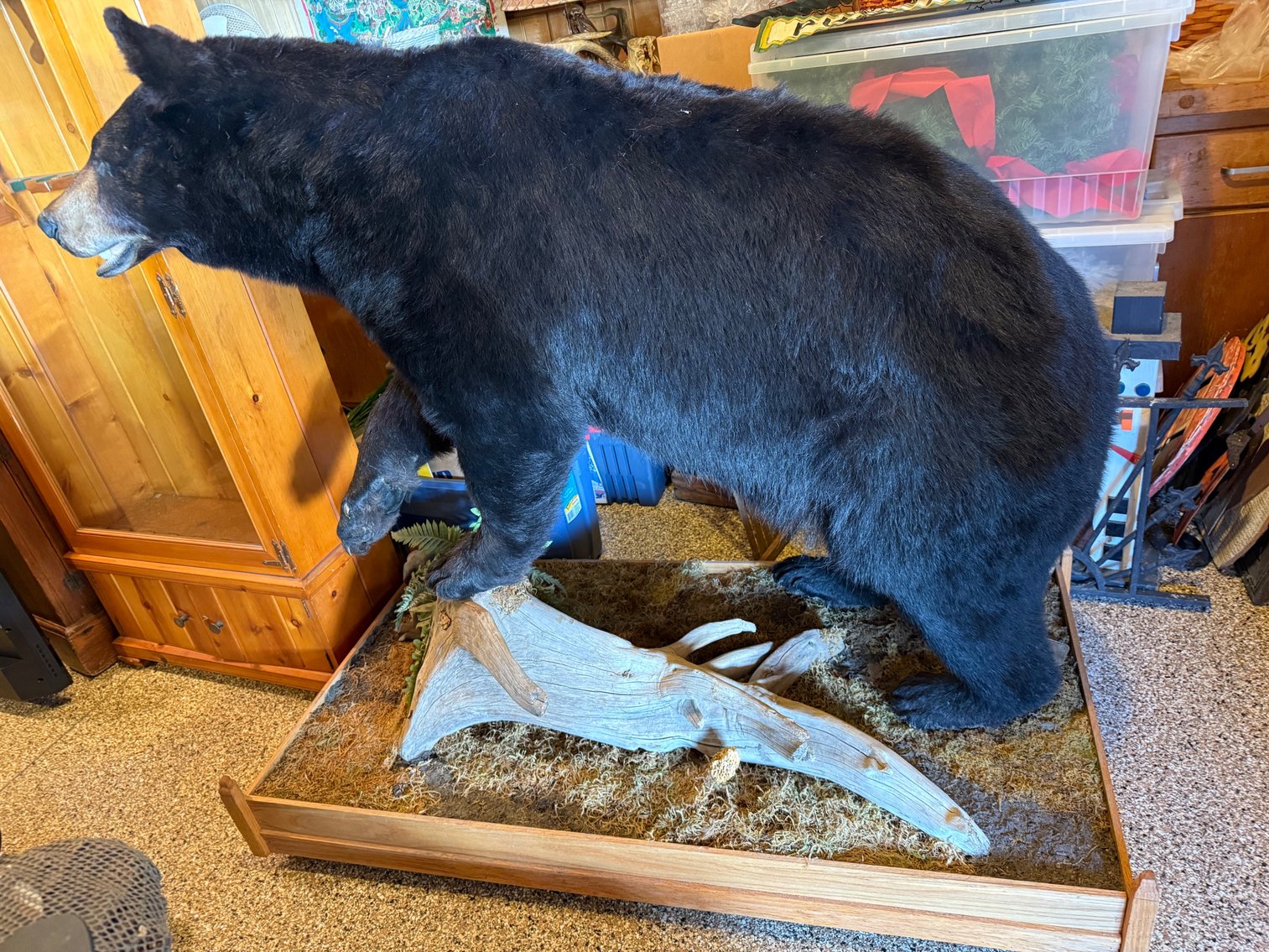 Image for Cataloged Items being offered Live with Online Bidding