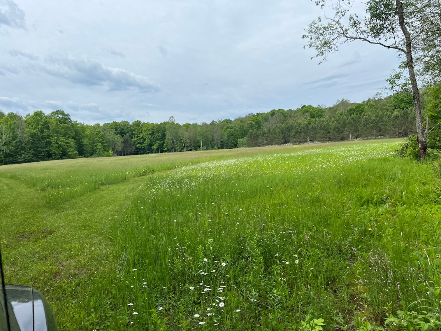 Image for Armstrong CreeK,  WI ** Home & 112 Acres Sold $453,200