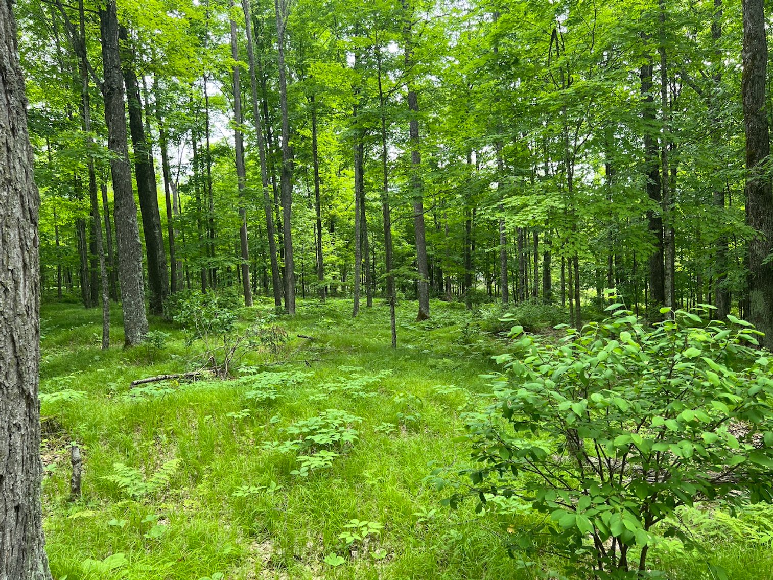 Image for Armstrong CreeK,  WI ** Home & 112 Acres Sold $453,200