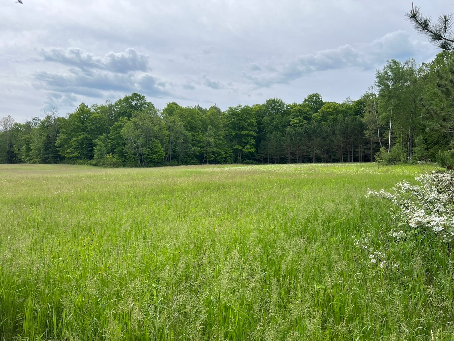 Image for Armstrong CreeK,  WI ** Home & 112 Acres Sold $453,200