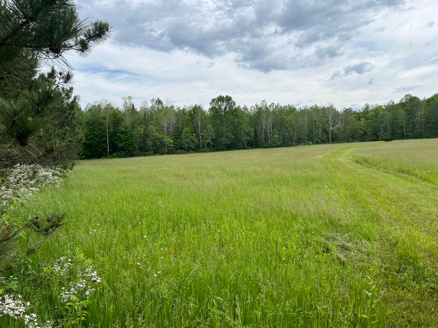 Image for Armstrong CreeK,  WI ** Home & 112 Acres Sold $453,200