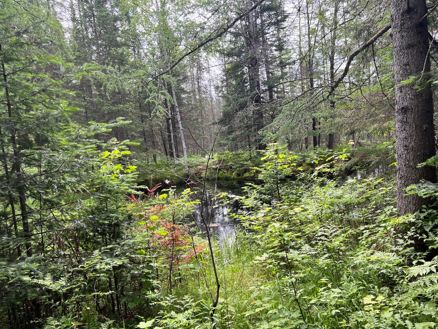 Image for Armstrong CreeK,  WI ** Home & 112 Acres Sold $453,200