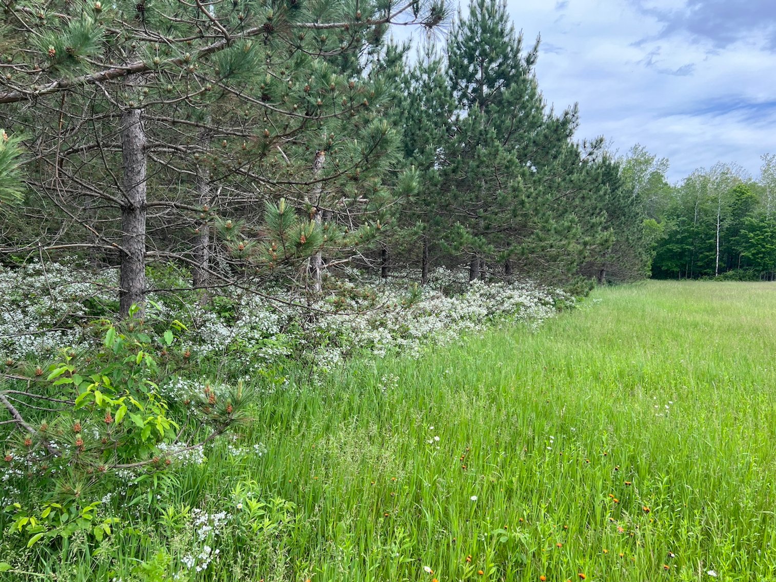 Image for Armstrong CreeK,  WI ** Home & 112 Acres Sold $453,200