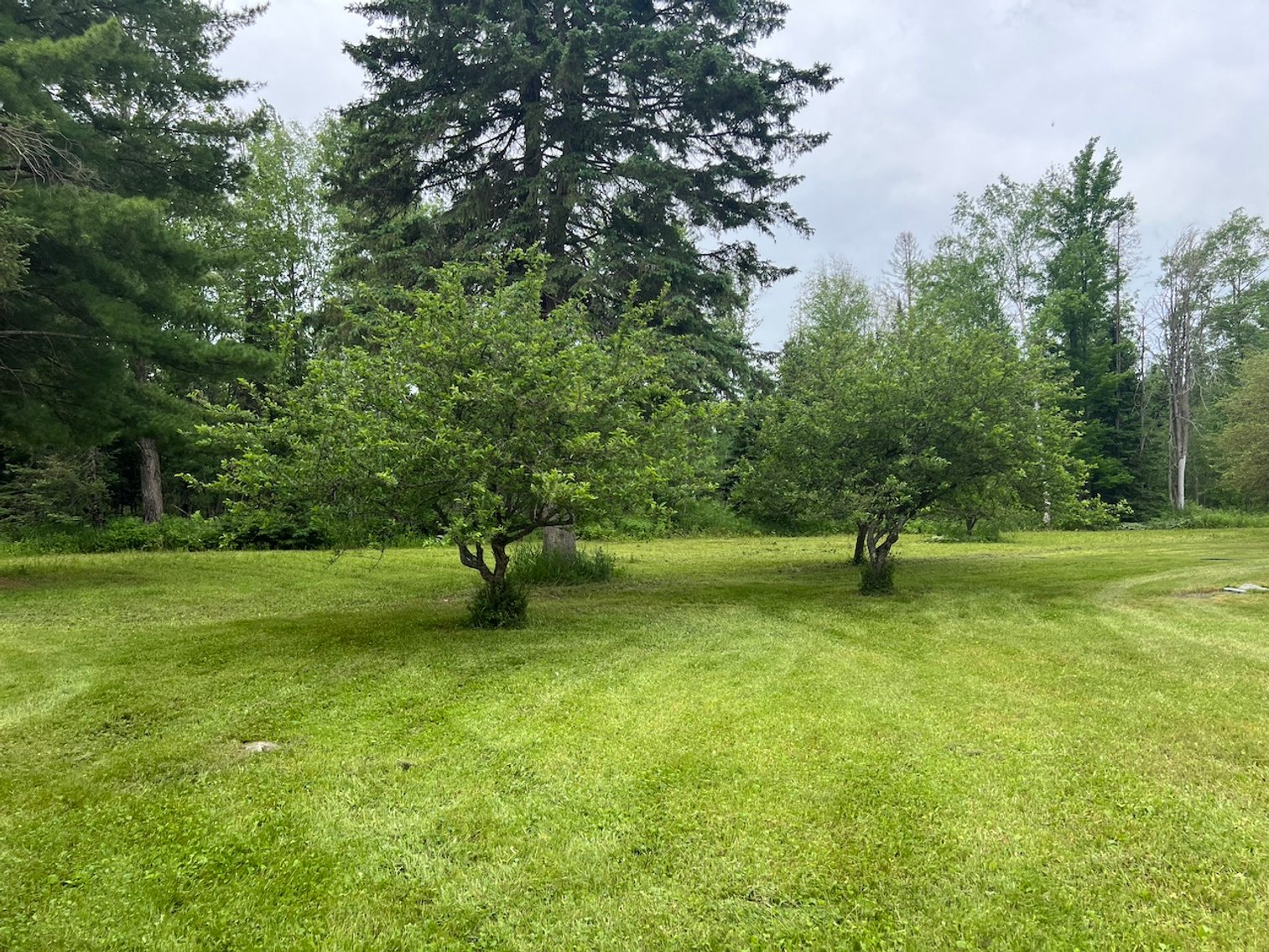 Image for Armstrong CreeK,  WI ** Home & 112 Acres Sold $453,200