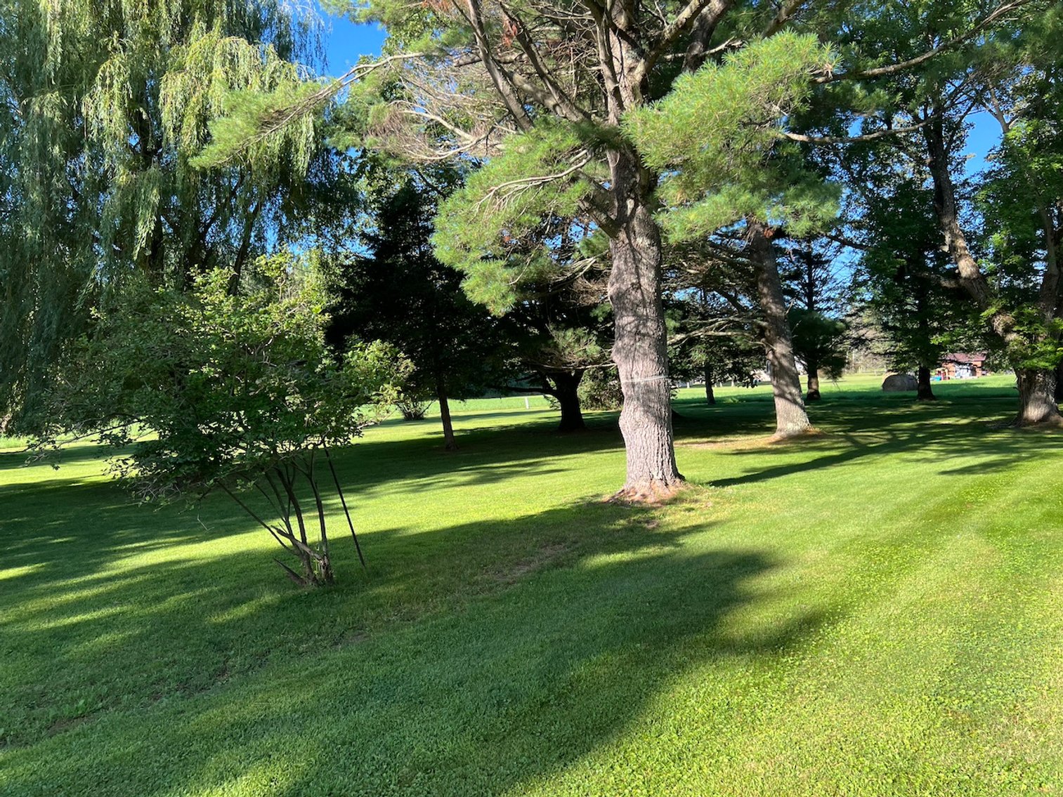 Image for Oct. 12 Hawkins, Wi *** 3-Bedroom Ranch Home Sold $117,600