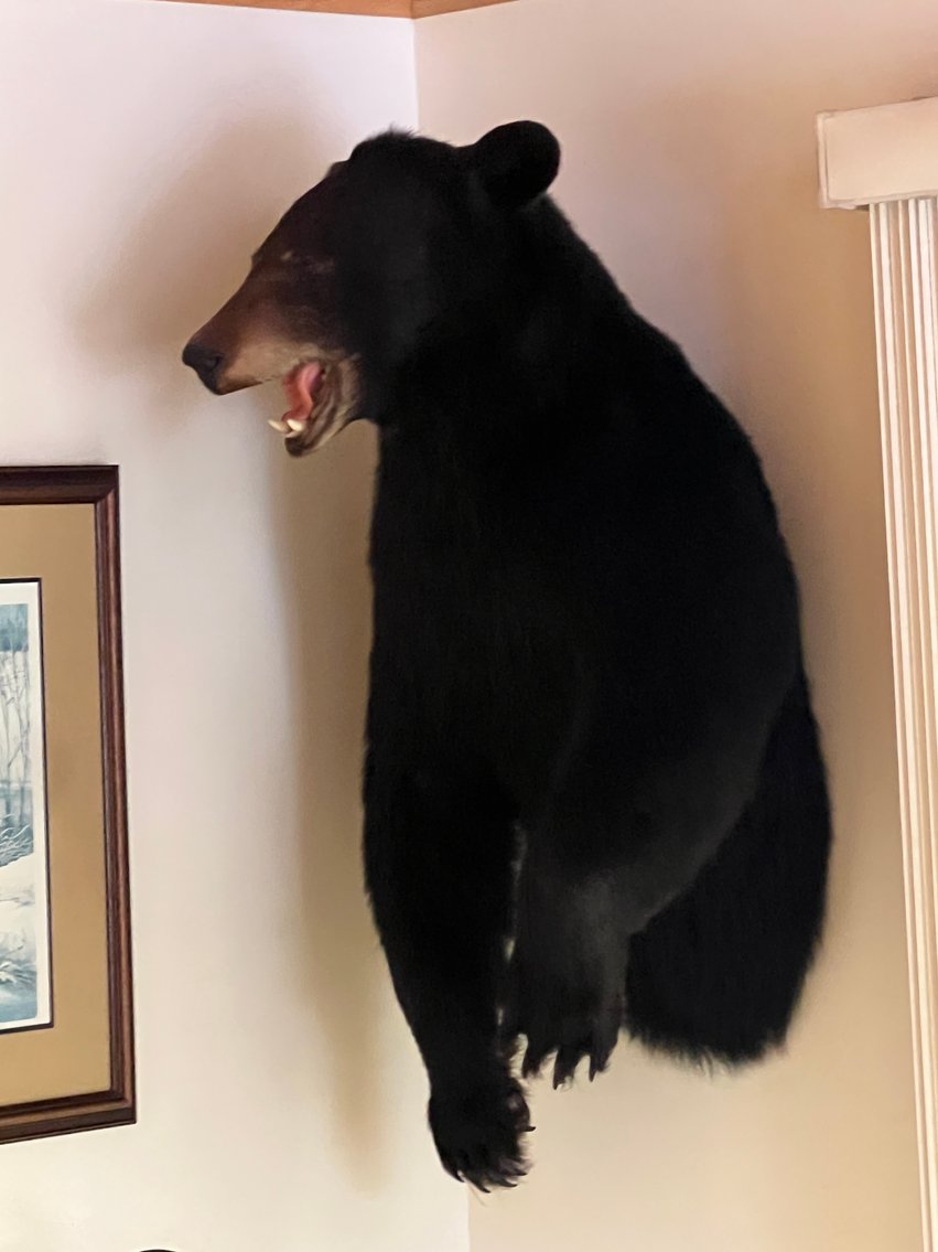 Image for Presque Isle, WI ** 26 firearms, Chevrolet Suburban, Tools, Sporting Goods, Home Contents, Antiques & more!