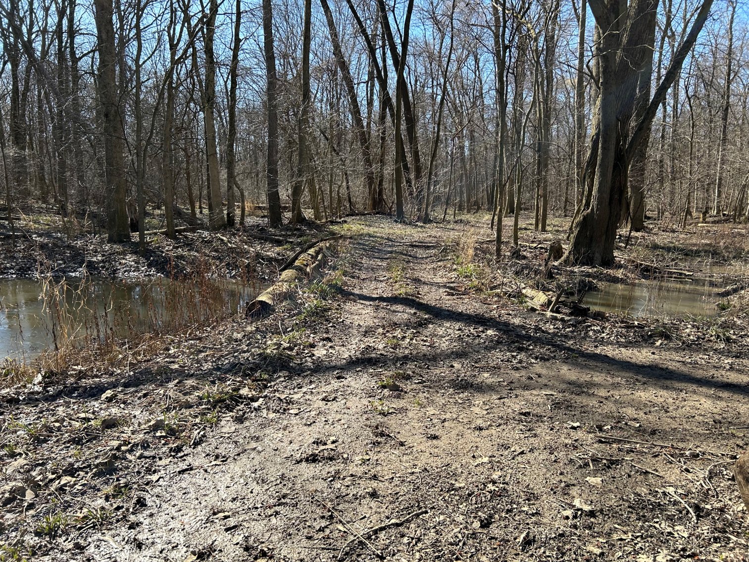 Image for 42 Wooded Acres with Cabin