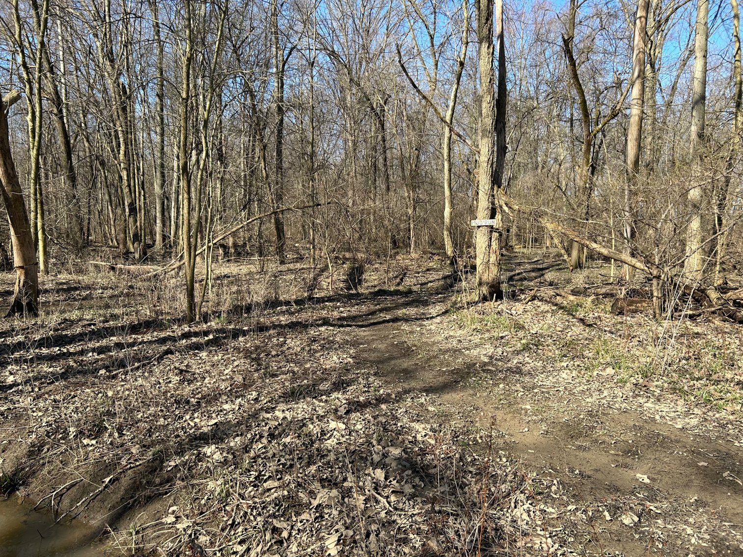 Image for 42 Wooded Acres with Cabin