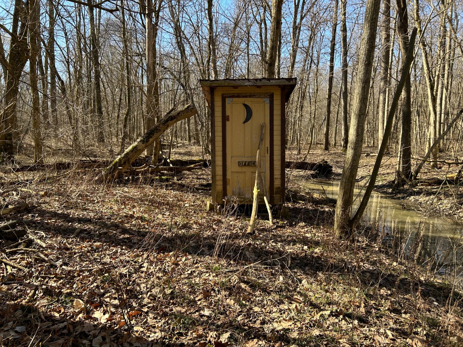 Image for 42 Wooded Acres with Cabin