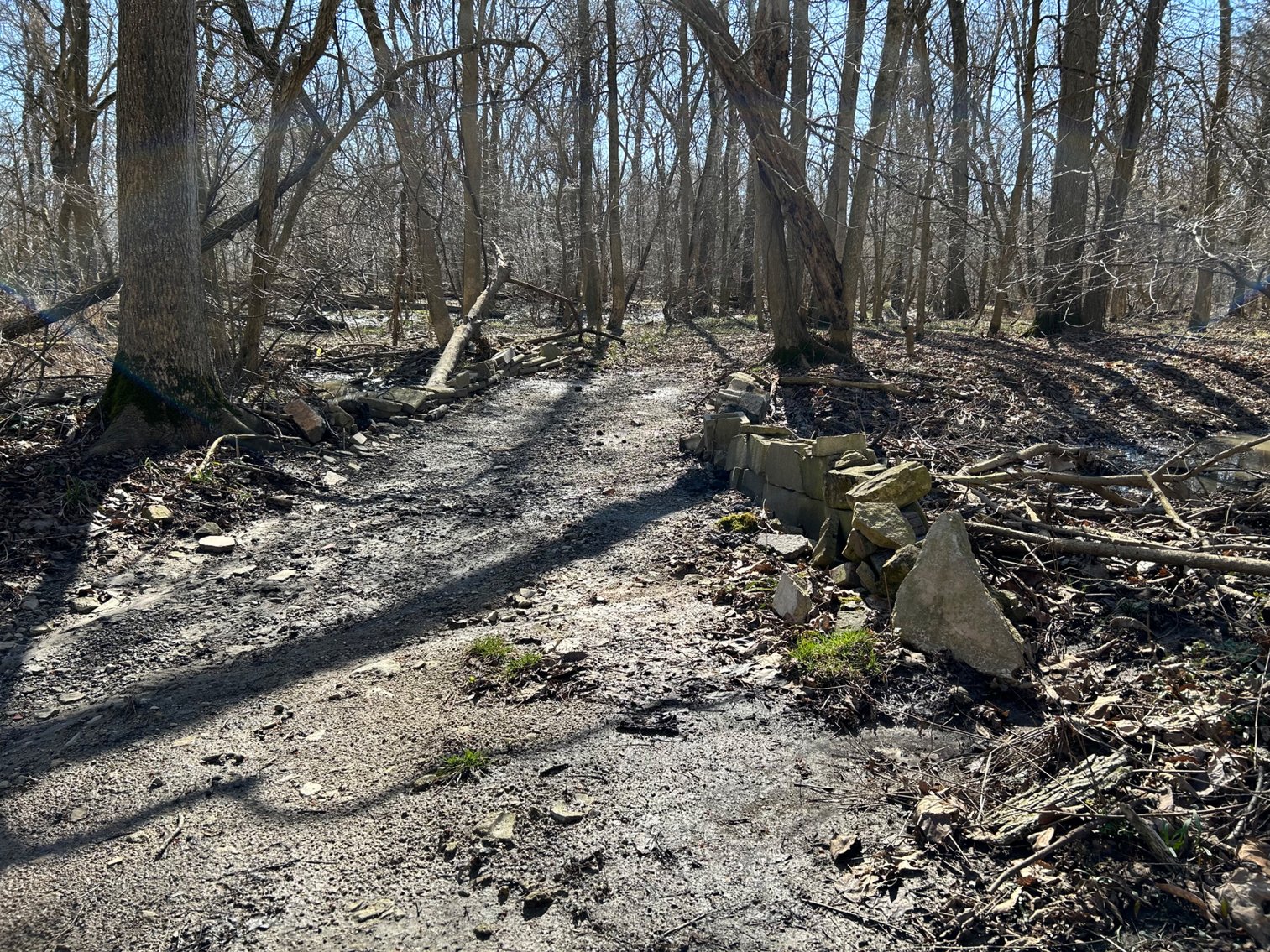 Image for 42 Wooded Acres with Cabin