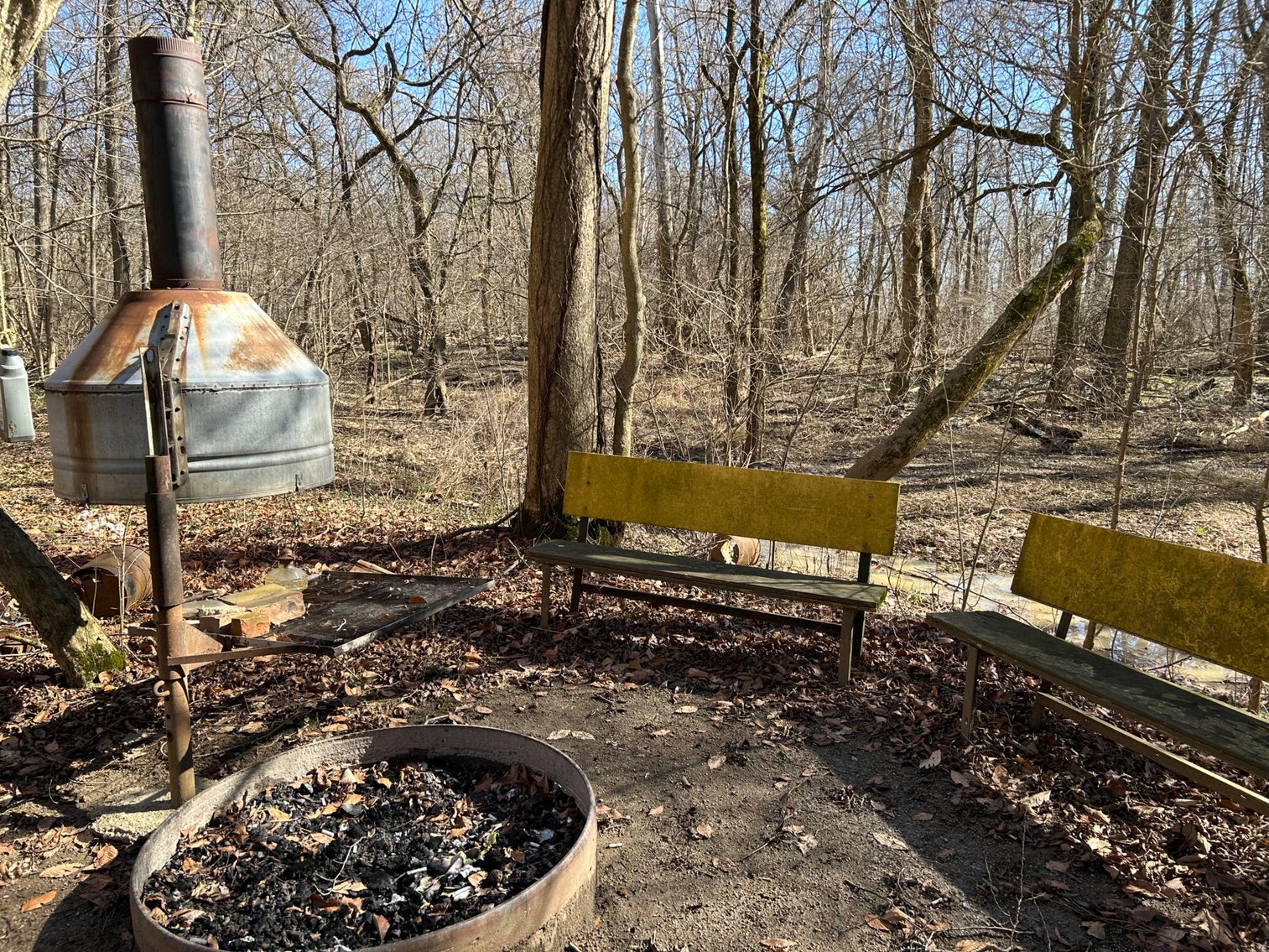 Image for 42 Wooded Acres with Cabin