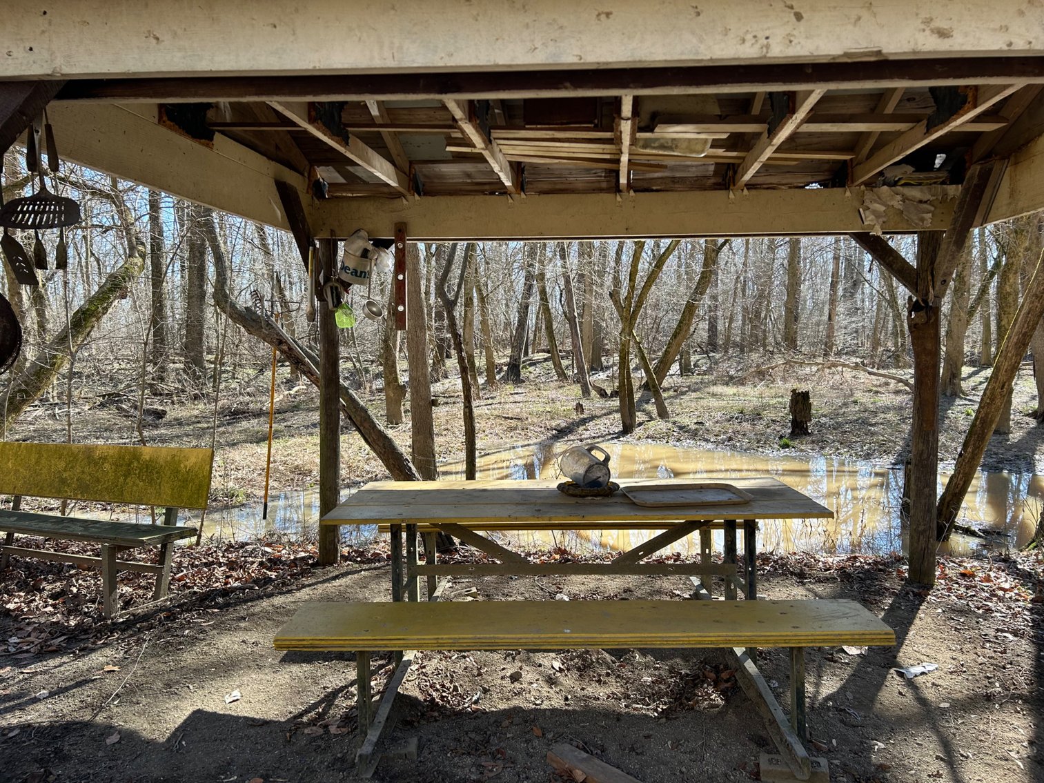 Image for 42 Wooded Acres with Cabin