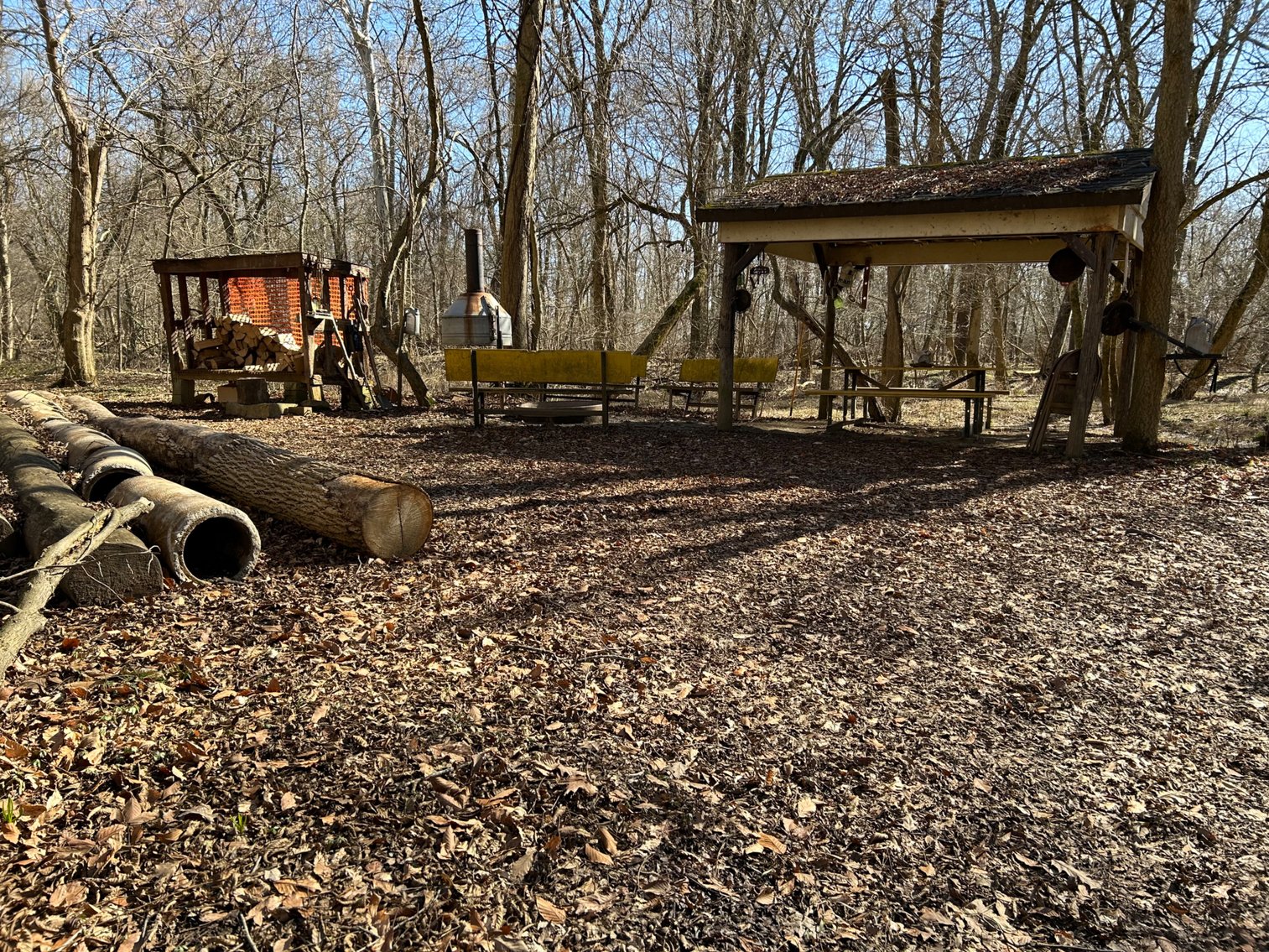 Image for 42 Wooded Acres with Cabin