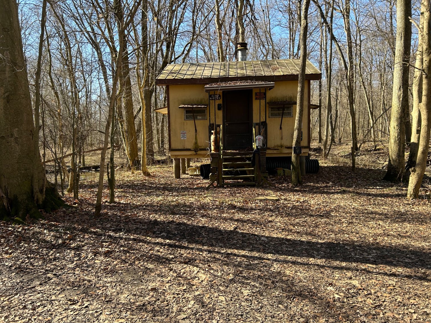 Image for 42 Wooded Acres with Cabin