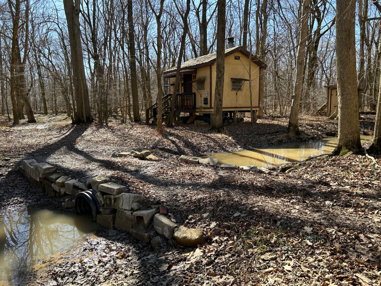 Image for 42 Wooded Acres with Cabin
